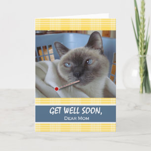 Kom snart till Mamma, sick Siamese Cat i Basket Kort