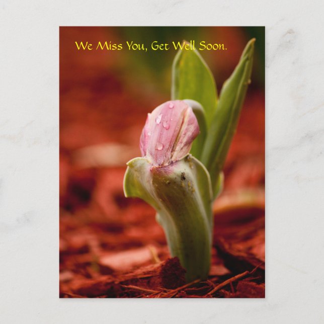 Kom snart vykort (Framsida)