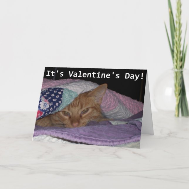Kom Snuggle Cat Valentine Helgkort (Framsida)