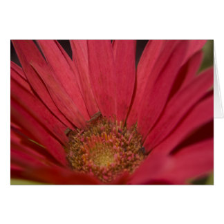 Kom till ditt sinneskort hälsningskort