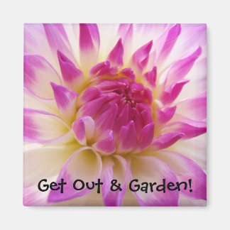 Kom ut och odla! magnet Vit Rosa Dahlia