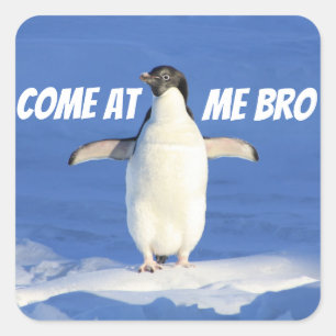 Kom vid Me Bro Meme Penguin Fyrkantigt Klistermärke