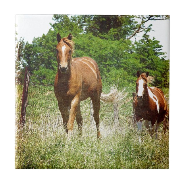 Kom vid samtal, två hästar kakelplatta (Framsidan)