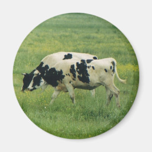 Komagnet Magnet