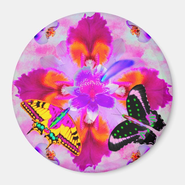 Kometera chasers efter pwwr magnet (Framsidan)