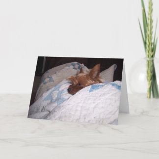 Komfort från Alfie Kort