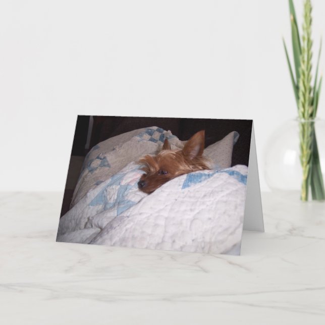 Komfort från Alfie Kort (Framsida)