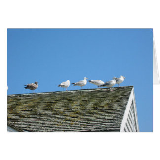 Komm tillsammans OBS kort