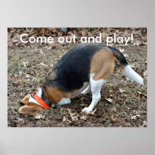 Komm ut och leka att gräva för Beagle Poster