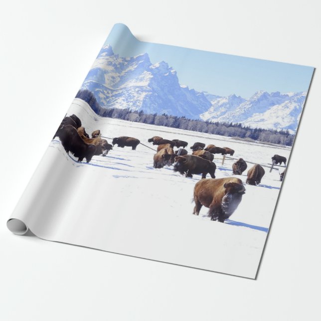 Komma med det fria home. presentpapper (Utrullad)