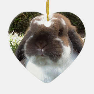 Komma med någon furriness in i ditt liv! julgransprydnad keramik