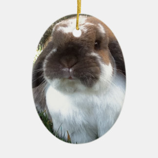 Komma med någon furriness in i ditt liv! julgransprydnad keramik