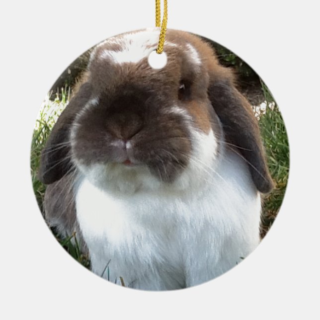 Komma med någon furriness in i ditt liv! julgransprydnad keramik (Framsidan)