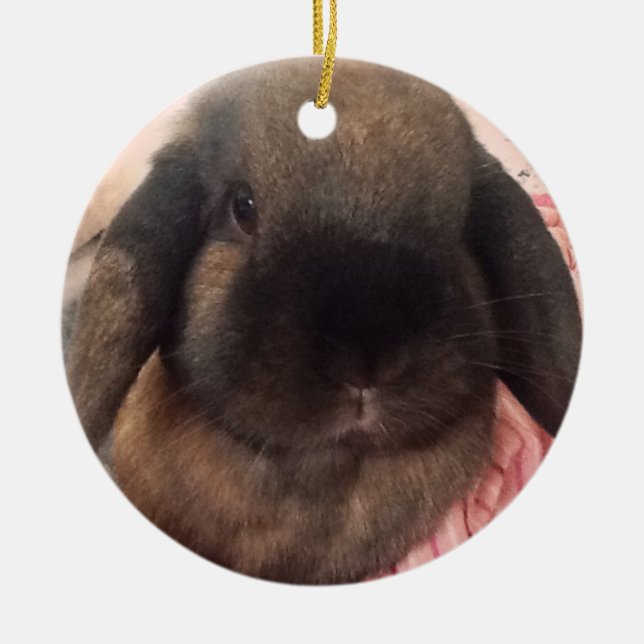 Komma med någon furriness till ditt träd julgransprydnad keramik (Framsidan)