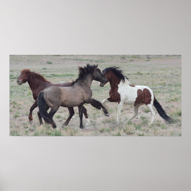 Komma samman poster (Framsidan)