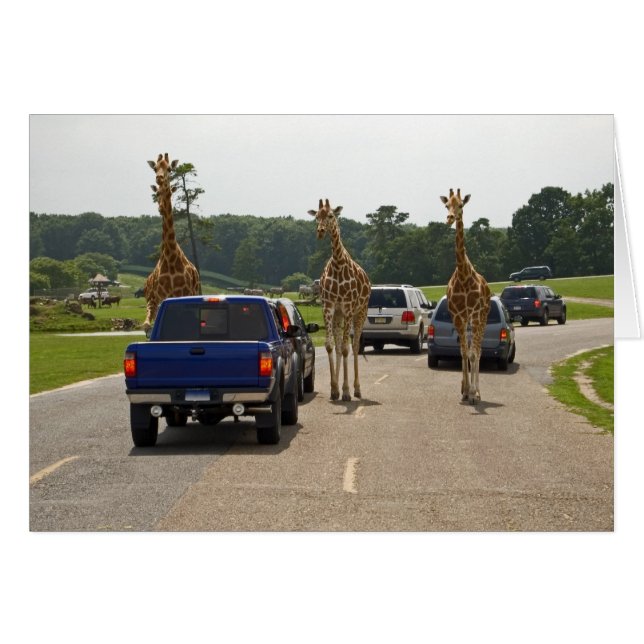 Kommande trafik hälsningskort (Framsidan Horizontal)