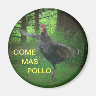 KomMas Pollo roliga Turkiet Magnet