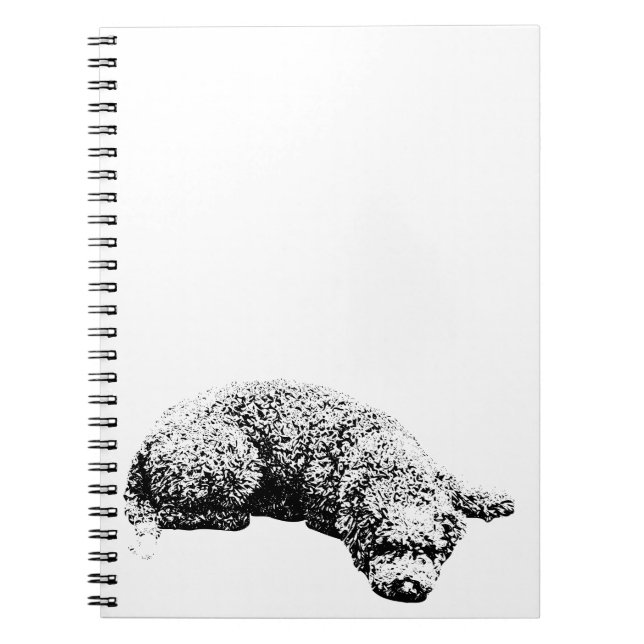 Kommentarer från fönstret anteckningsbok (Framsidan)