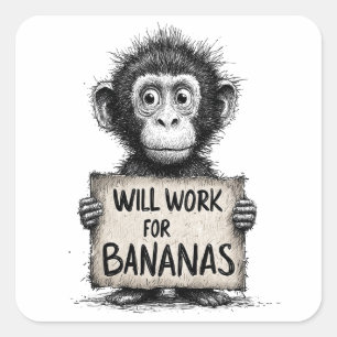 Kommer att jobba för bananer - Humoristisk apskiss Fyrkantigt Klistermärke