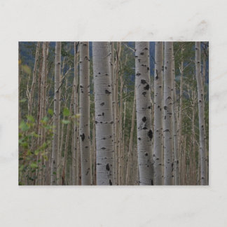 Kommer B gratis att Namnteckning postkort Vykort