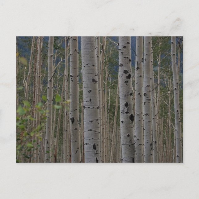 Kommer B gratis att Namnteckning postkort Vykort (Framsida)