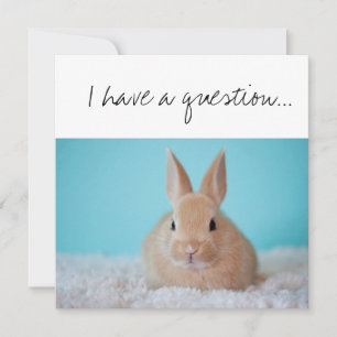 Kommer du att bli GudParent Frieri Brown Bunny? Kort