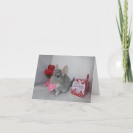 Kommer du att bli min Valentine chinchilla? Kort