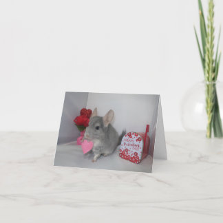 Kommer du att bli min Valentine chinchilla? Kort