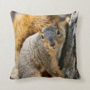 Kommer du inte? kudde