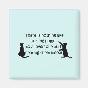 Kommer hem till en katt magnet