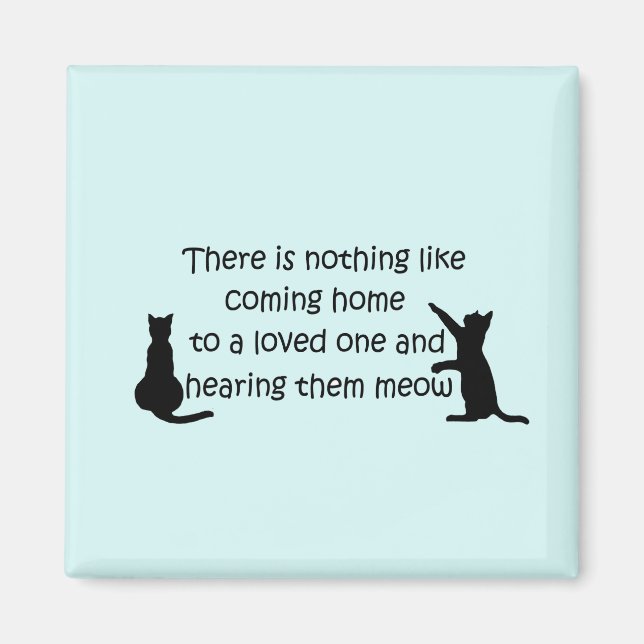 Kommer hem till en katt magnet (Framsidan)