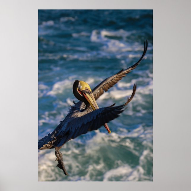 Kommer in för en landning poster (Framsidan)