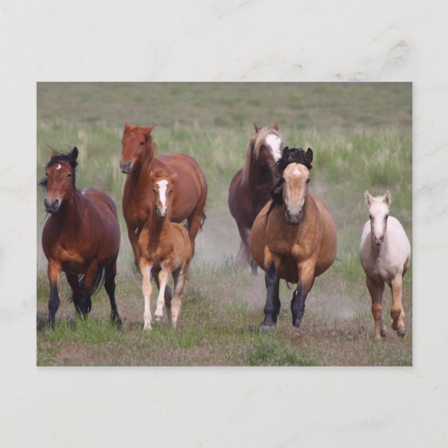 Kommer på dig vykort (Framsida)