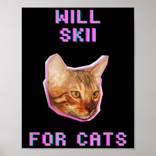 Kommer skidor för katter Roligt vinter snöäventyr Poster