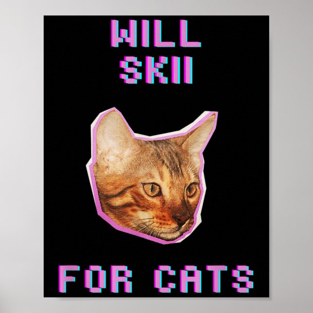 Kommer skidor för katter Roligt vinter snöäventyr  Poster (Framsidan)