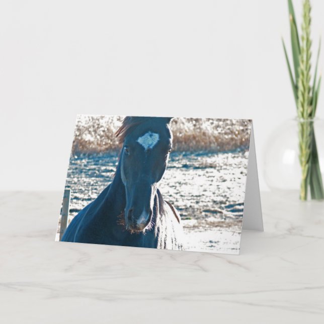 Kommer till Ya Kort (Framsida)