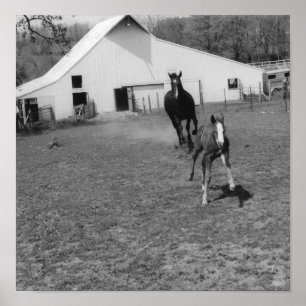 Kommer till Ya Poster