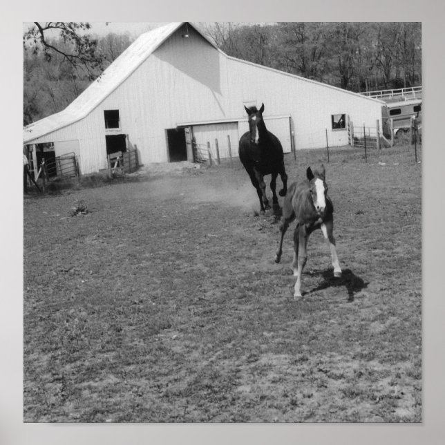 Kommer till Ya Poster (Framsidan)