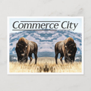 KOMMERCE CITY COLORADO VYKORT