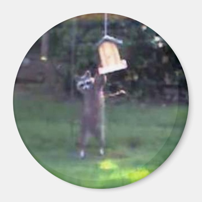 Kommissarie Raccoon Magnet (Framsidan)