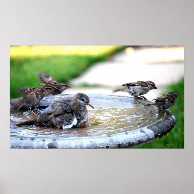 Kommunal Bath Poster (Framsidan)