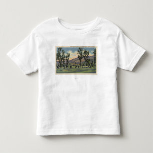 Kommunal golfbana i Griffith Park T-shirt