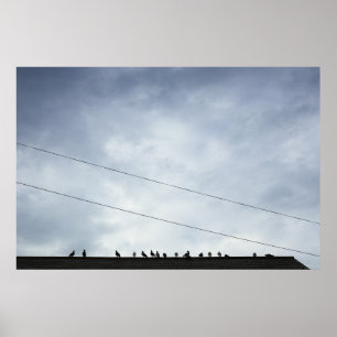Kommunikationer Poster