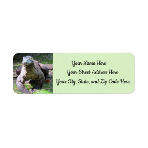 Komodo Dragon-Adressetiketter (T-fyllning) Returadress Etikett