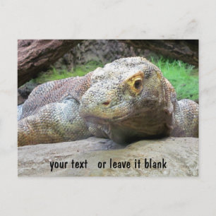 Komodo Dragon ansikte med texten Vykort