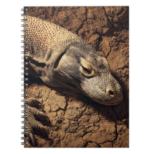 Komodo Dragon Earth Tones Notebook Anteckningsbok