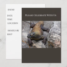 Komodo Dragon Event Inbjudan