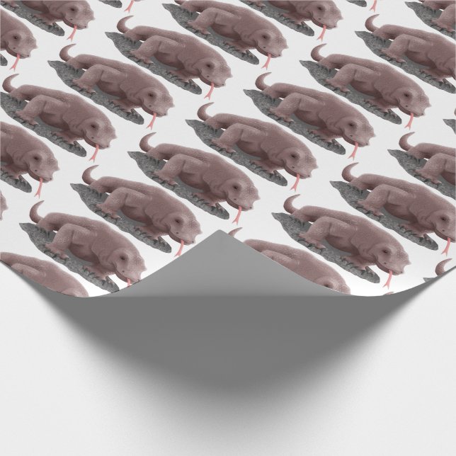 Komodo dragon illustration presentpapper (Hörn)