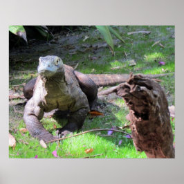Komodo Dragon (nr 0606) Poster