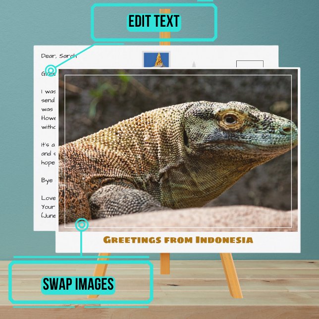 Komodo Dragon of Indonesia Modern Vykort (Share your experiences with these stylish template postcards.)